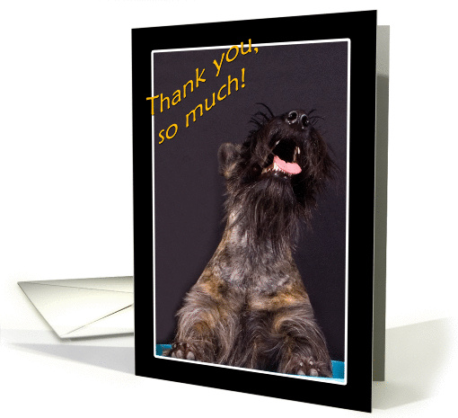 Thank you - featuring a Scottish Terrier card (859183)