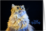 Pet Loss Sympathy Card - featuring a Himalayan Cat card