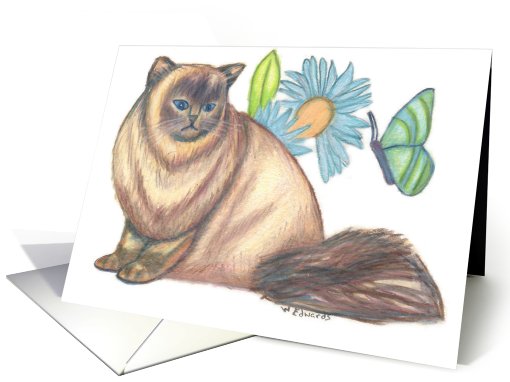 Butterfly Garden Cat 4 card (425824)