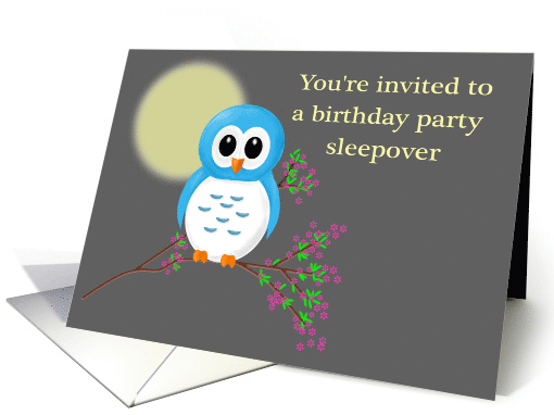 Birthday Sleepover Invitation with Cute Owl and Moon card (1073652)