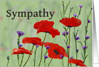 Sympathy,Poppies and Bachelor Buttons card