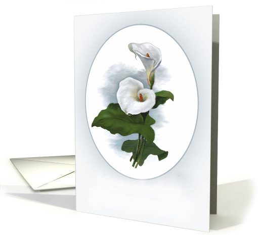 Two Lovely White Calla Lilies, Vintage Botanical Notecard card