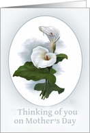 Thinking of you on Mother’s Day, Loss of a Child, Calla Lily card