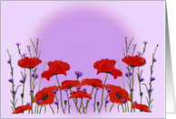 Red Poppies and Purple Bachelor Buttons Any Occasion Blank card