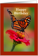 Happy Birthday, Monarch Butterfly card