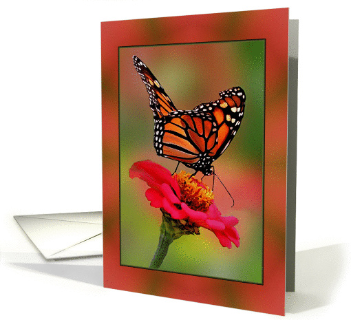 Blank Inside Collage Style, with Photograph of Monarch Butterfly card
