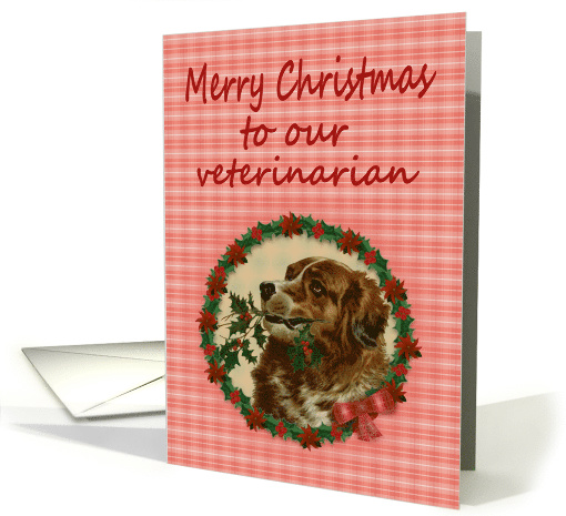 Merry Christmas Veterinarian, Vintage Saint Bernard with... (1390136)