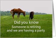 Retirement Party Invitation, Funny Horse and Cow Photo card