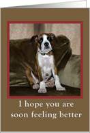 Get well card,boxer puppy card