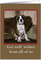 Get well from group,boxer puppy card