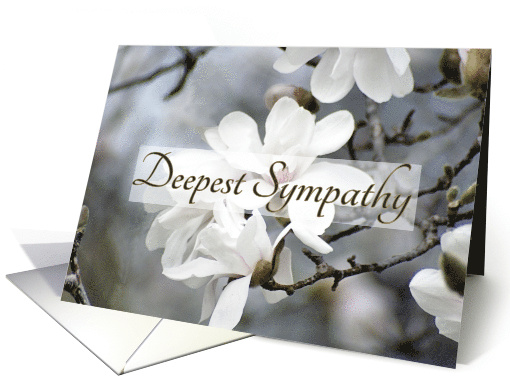 Deepest Sympathy, Blooming Tulip Tree card (791036)