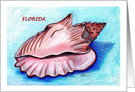 Florida Conch card