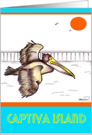 Pelican Captiva Island card