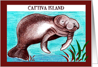 Manatee Captiva Island card