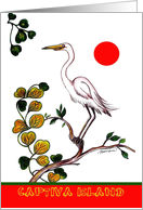 White heron Captiva Island card