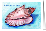 Conch Captiva Island card