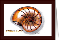 Seashell Captiva Island card