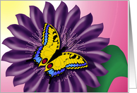Bright butterfliy on flower digital illustration. card