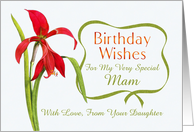 Mam Birthday Wishes From Daughter Red Lily card