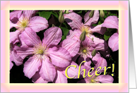Cheerful Blooming Clematis card