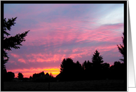 Amazing Pink Sunset - Sublimity, Oregon card