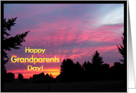 Happy Grandparents Day Grandmother card