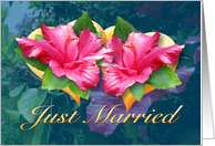 Just Married Hearts - Hibiscus card