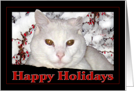 Happy Holidays to Vet card