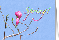 Welcome Spring! card