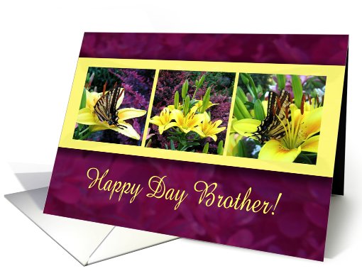 Thinking of You Happy Day Brother card (569817)