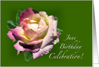 Happy June Birthday Rose card