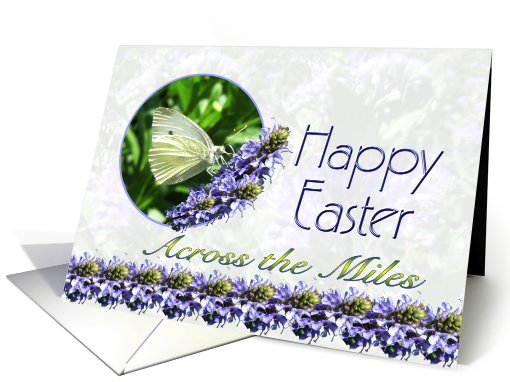Happy Easter Across the Miles Butterfly Flowers card (573404)