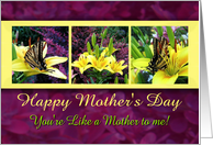 Happy Mother’s Day Butterflies - You’re like a Mother to Me card