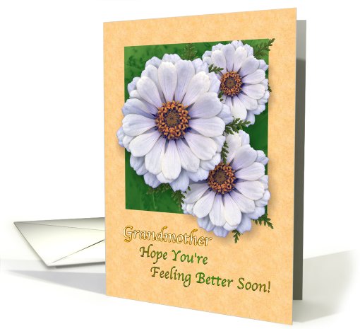 Feel Better Soon Grandmother - Zinnia Garden card (579542)