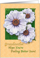 Feel Better Soon Grandmother - Zinnia Garden card
