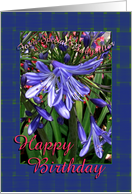Babysitter Happy Birthday Lavender Lilies card