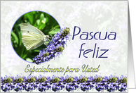 Spanish Happy Easter Pascua feliz Butterfly and Flowers card