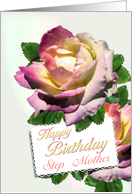 Step Mother Birthday Roses card