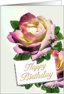 Gardner Birthday Roses card