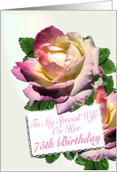 Wife 75th Brithday Roses card