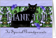 Grandparents Thank You Flowers, Butterflies and Cat card