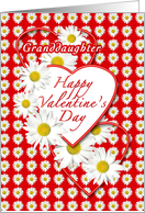 Granddaughter - White Daisies and Red Hearts Valentine card