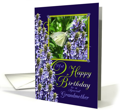 Grandmother 91st Birthday - White Butterfly Garden card (785561)