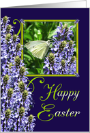 Easter White Butterfly Garden card