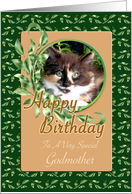 Godmother Birthday - Cute Green Eyed Kitten card