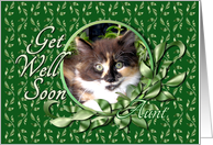 Aunt Get Well - Green Eyed Calico Kitten card