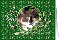 Brother-in-law Get Well - Green Eyed Calico Kitten card