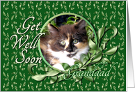 Granddad Get Well - Green Eyed Calico Kitten card