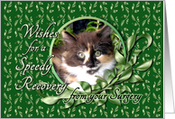 Speedy Recovery from Surgery - Green Eyed Calico Kitten card