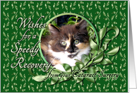 Recovery from Cataract Surgery - Calico Kitten card